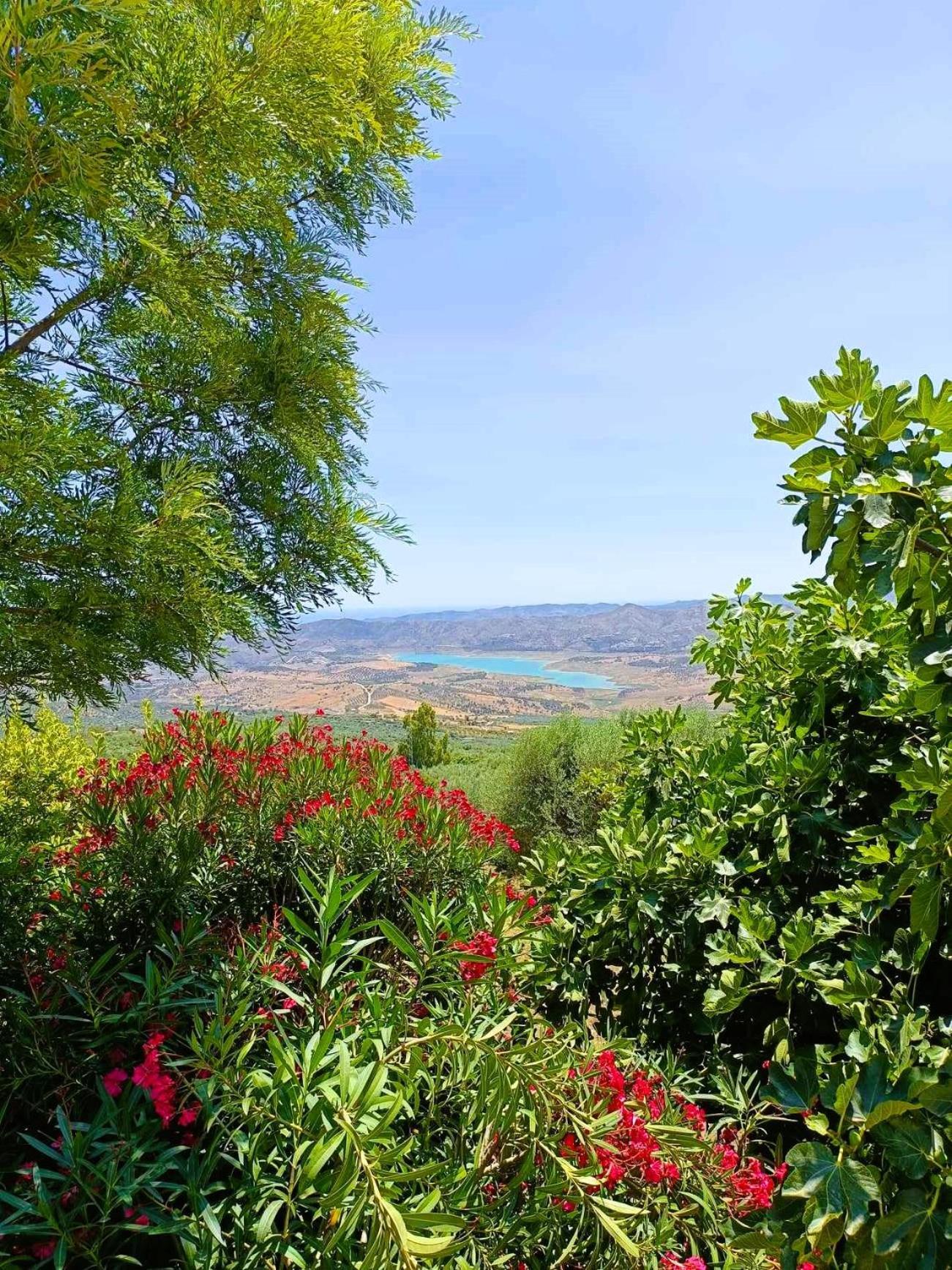 Casa Shyshka Country Cottage Periana ภายนอก รูปภาพ